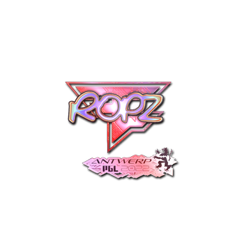 Sticker | ropz (Holo) | Antwerp 2022 CS2 skin