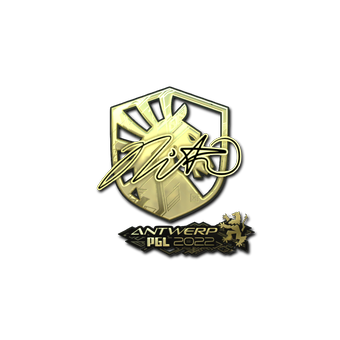 Sticker | nitr0 (Gold) | Antwerp 2022 CS2 skin