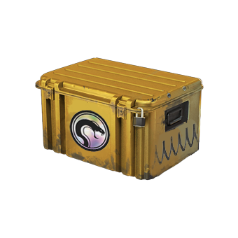 Recoil Case CS2 skin