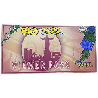 Rio 2022 Viewer Pass CS2 skin