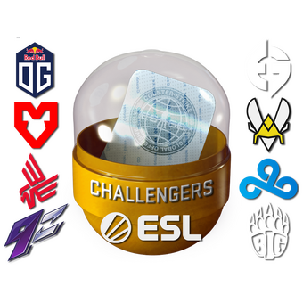 Rio 2022 Challengers Sticker Capsule CS2 skin