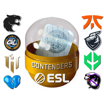 Rio 2022 Contenders Sticker Capsule CS2 skin