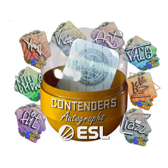 Rio 2022 Contenders Autograph Capsule CS2 skin