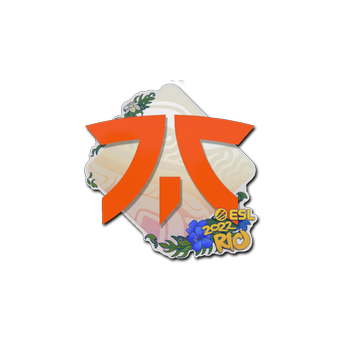Sticker | Fnatic | Rio 2022 CS2 skin