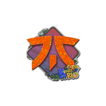 Sticker | Fnatic (Glitter) | Rio 2022 CS2 skin