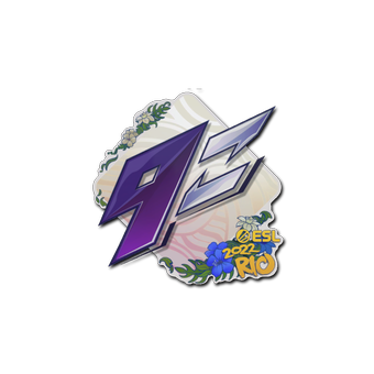 Sticker | 9z Team | Rio 2022 CS2 skin