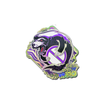 Sticker | Outsiders (Holo) | Rio 2022 CS2 skin