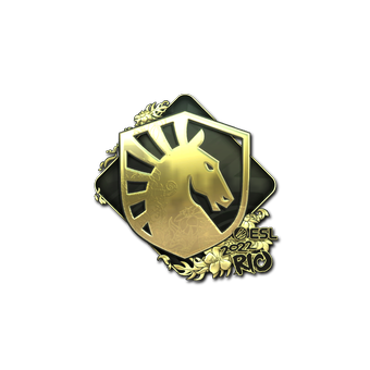 Sticker | Team Liquid (Gold) | Rio 2022 CS2 skin