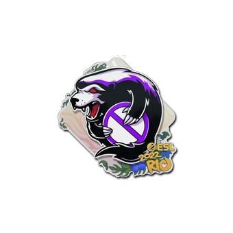Sticker | Outsiders | Rio 2022 CS2 skin