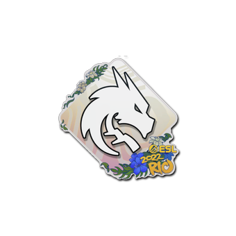 Sticker | Team Spirit | Rio 2022 CS2 skin