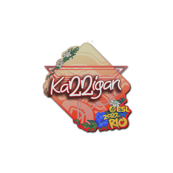 Sticker | karrigan | Rio 2022 CS2 skin