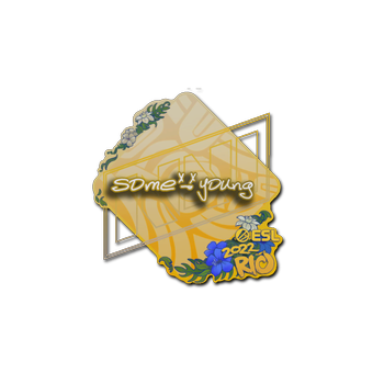 Sticker | sdy | Rio 2022 CS2 skin