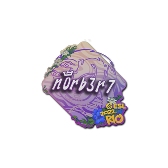 Sticker | n0rb3r7 | Rio 2022 CS2 skin