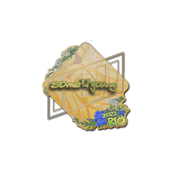 Sticker | sdy (Holo) | Rio 2022 CS2 skin