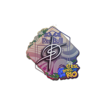 Sticker | degster | Rio 2022 CS2 skin