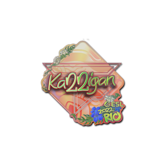 Sticker | karrigan (Holo) | Rio 2022 CS2 skin