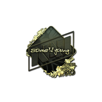 Sticker | sdy (Gold) | Rio 2022 CS2 skin