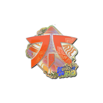 Sticker | Fnatic (Holo) | Rio 2022 CS2 skin
