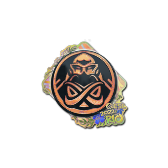 Sticker | ENCE (Holo) | Rio 2022 CS2 skin
