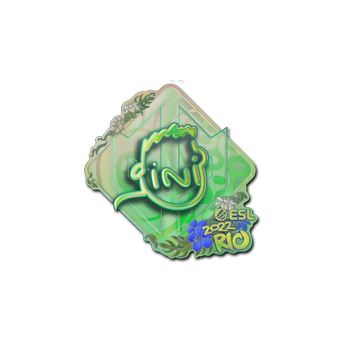 Sticker | VINI (Holo) | Rio 2022 CS2 skin
