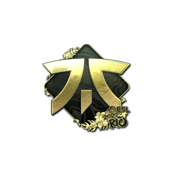 Sticker | Fnatic (Gold) | Rio 2022 CS2 skin