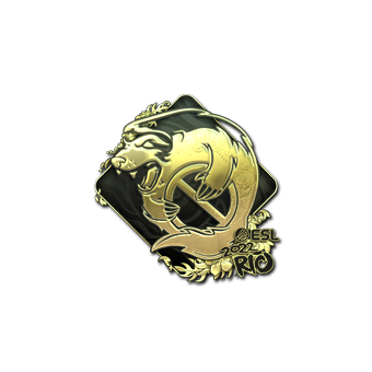 Sticker | Outsiders (Gold) | Rio 2022 CS2 skin
