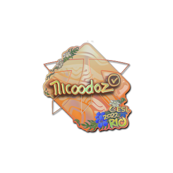Sticker | nicoodoz (Holo) | Rio 2022 CS2 skin