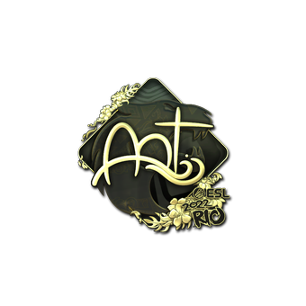 Sticker | arT (Gold) | Rio 2022 CS2 skin