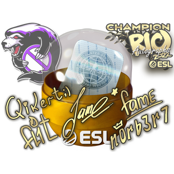 Rio 2022 Champions Autograph Capsule CS2 skin