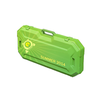 eSports 2014 Summer Case CS2 skin