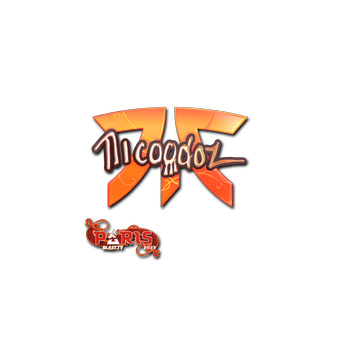 Sticker | nicoodoz (Holo) | Paris 2023 CS2 skin