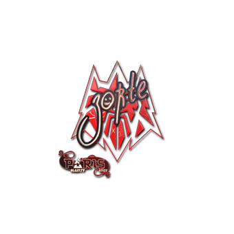 Sticker | zorte (Holo) | Paris 2023 CS2 skin