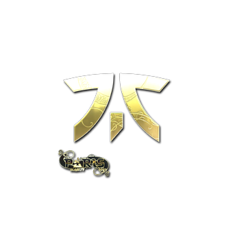 Sticker | Fnatic (Gold) | Paris 2023 CS2 skin