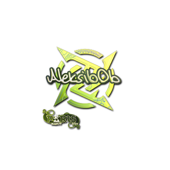 Sticker | Aleksib (Holo) | Paris 2023 CS2 skin
