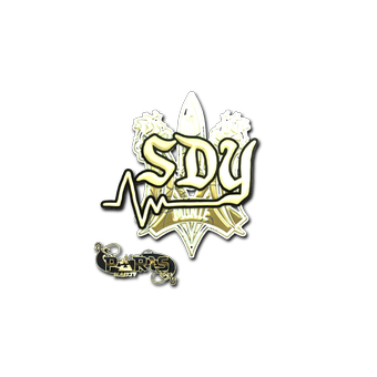 Sticker | sdy (Gold) | Paris 2023 CS2 skin