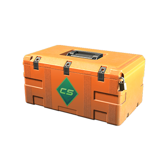 Gallery Case CS2 skin