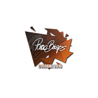 Sticker | pashaBiceps | Cologne 2016 CS2 skin