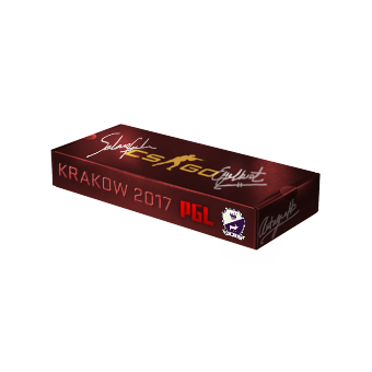 Krakow 2017 Cobblestone Souvenir Package CS2 skin