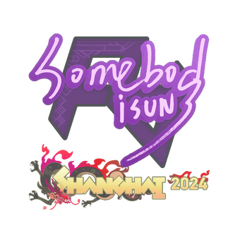 Sticker | somebody | Shanghai 2024 CS2 skin