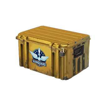 Operation Vanguard Weapon Case CS2 skin