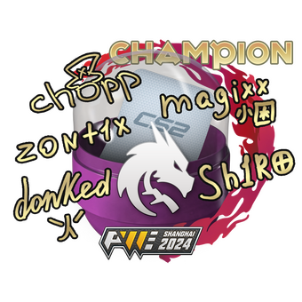 Shanghai 2024 Champions Autograph Capsule CS2 skin