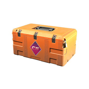 Fever Case CS2 skin