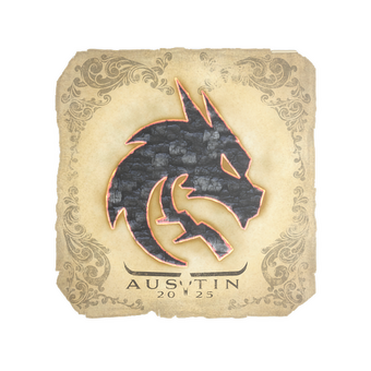 Sticker | Team Spirit | Austin 2025 CS2 skin