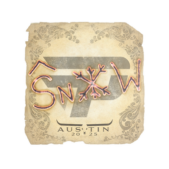 Sticker | snow | Austin 2025 CS2 skin
