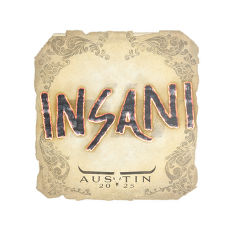 Sticker | insani | Austin 2025 CS2 skin