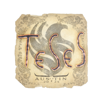 Sticker | TeSeS | Austin 2025 CS2 skin