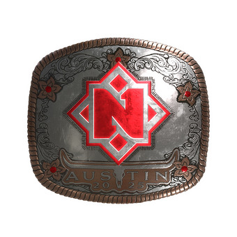 Sticker | Nemiga (Foil) | Austin 2025 CS2 skin