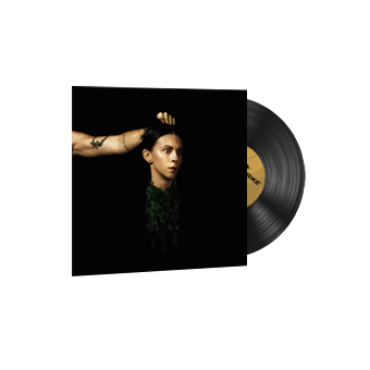 StatTrak™ Music Kit | PVRIS, Evergreen CS2 skin