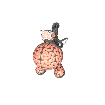 Charm | Big Brain CS2 skin