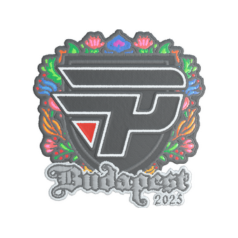 Sticker | paiN Gaming (Embroidered) | Budapest 2025 CS2 skin